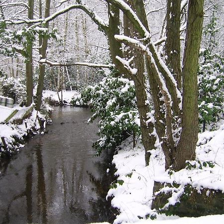 Bosbeekvallei Opoeteren ภายนอก รูปภาพ