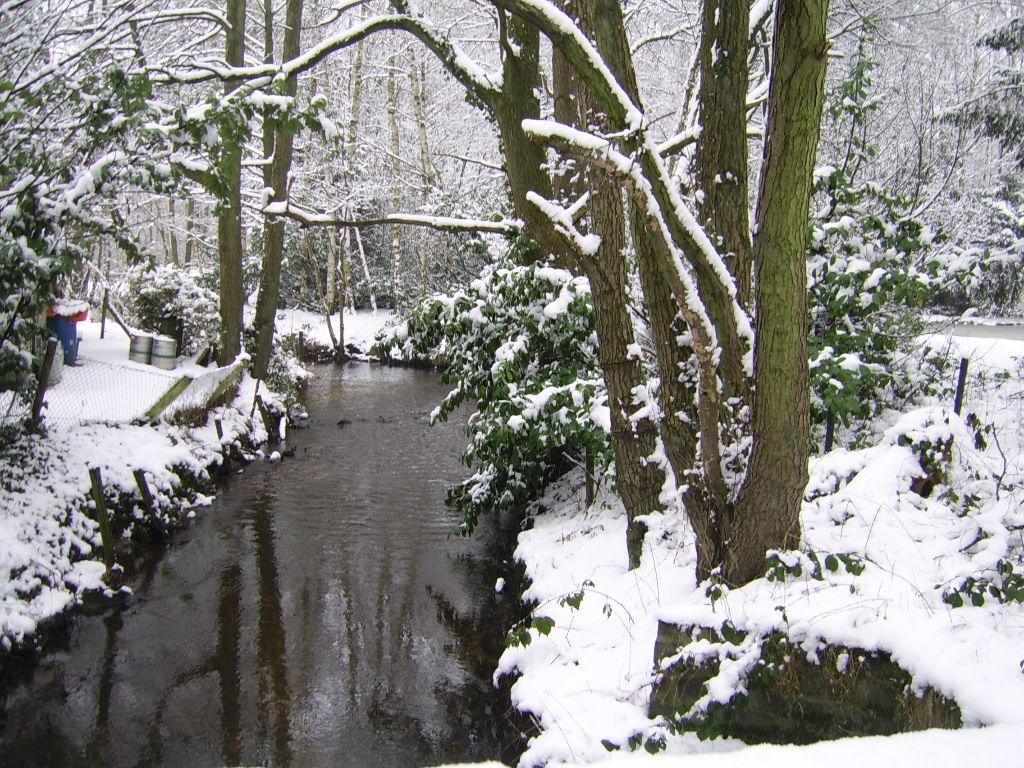 Bosbeekvallei Opoeteren ภายนอก รูปภาพ