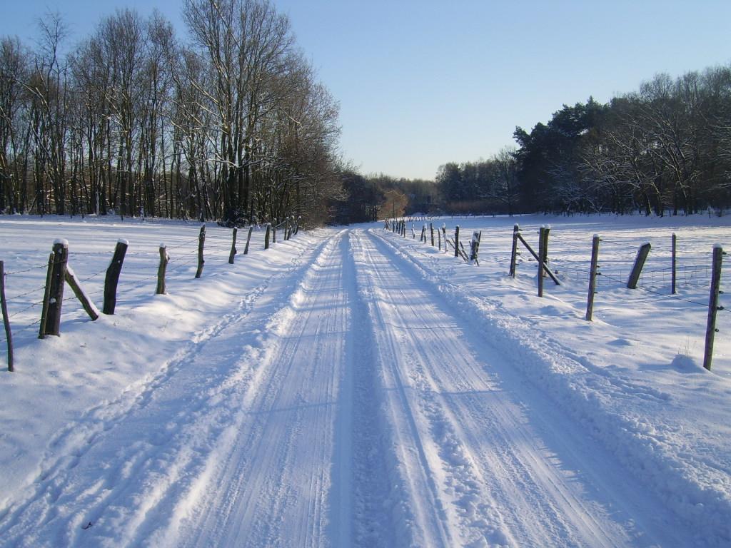 Bosbeekvallei Opoeteren ภายนอก รูปภาพ